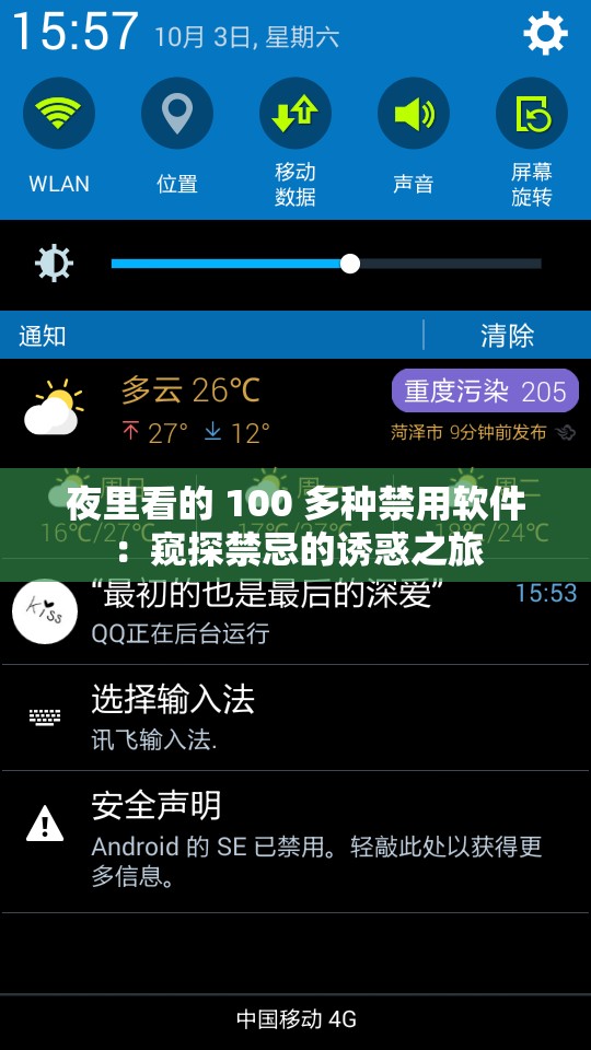 夜里看的 100 多种禁用软件：窥探禁忌的诱惑之旅