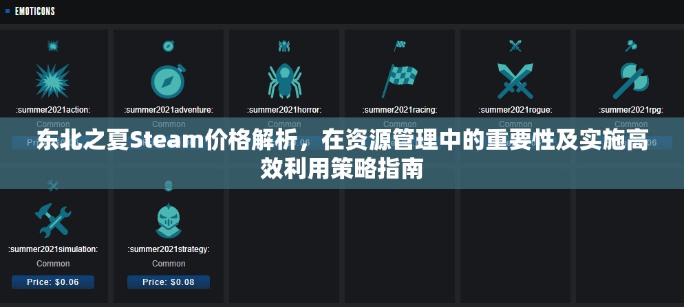 东北之夏Steam价格解析，在资源管理中的重要性及实施高效利用策略指南