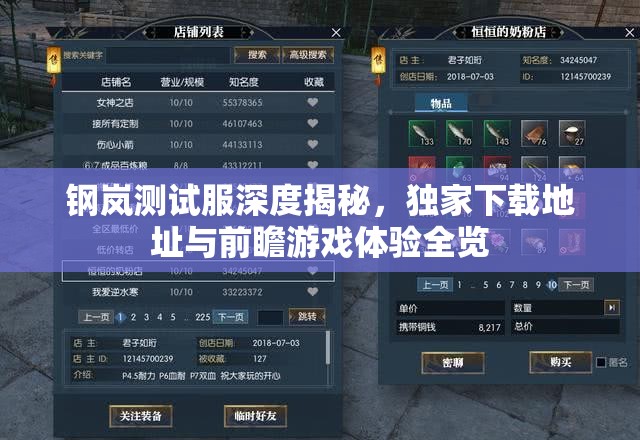 钢岚测试服深度揭秘，独家下载地址与前瞻游戏体验全览
