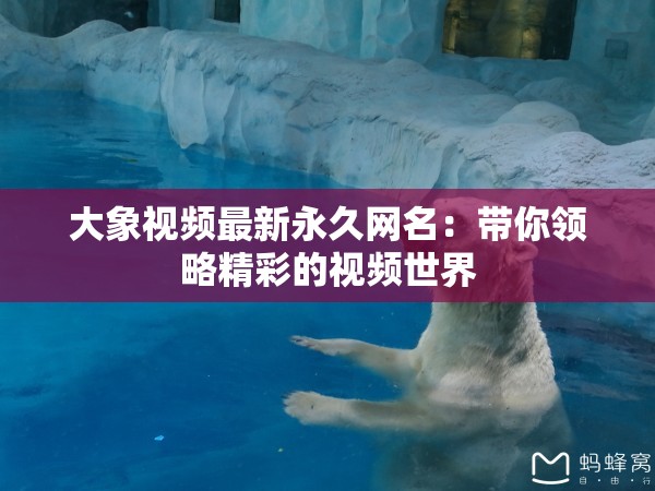 大象视频最新永久网名：带你领略精彩的视频世界