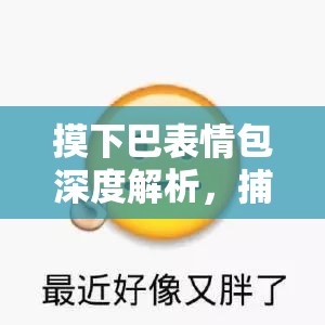 摸下巴表情包深度解析，捕捉那些令人捧腹又难忘的幽默瞬间