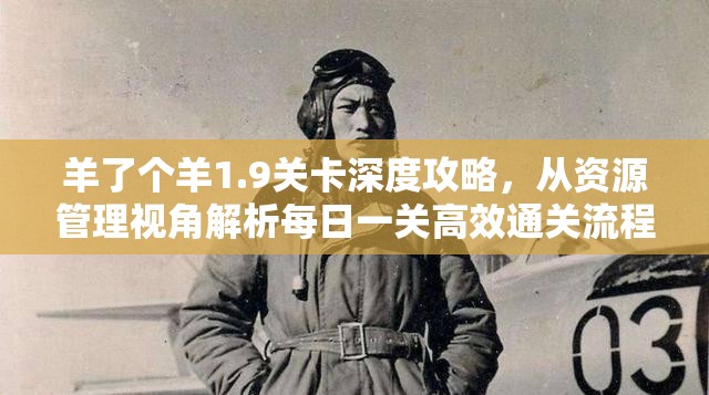 羊了个羊1.9关卡深度攻略，从资源管理视角解析每日一关高效通关流程