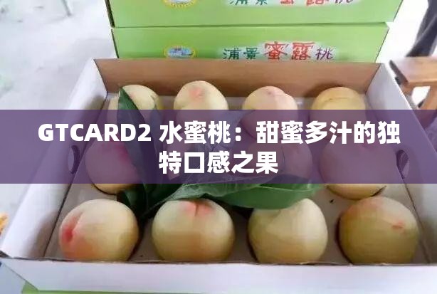 GTCARD2 水蜜桃：甜蜜多汁的独特口感之果