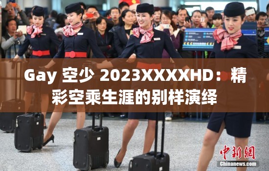 Gay 空少 2023XXXXHD：精彩空乘生涯的别样演绎