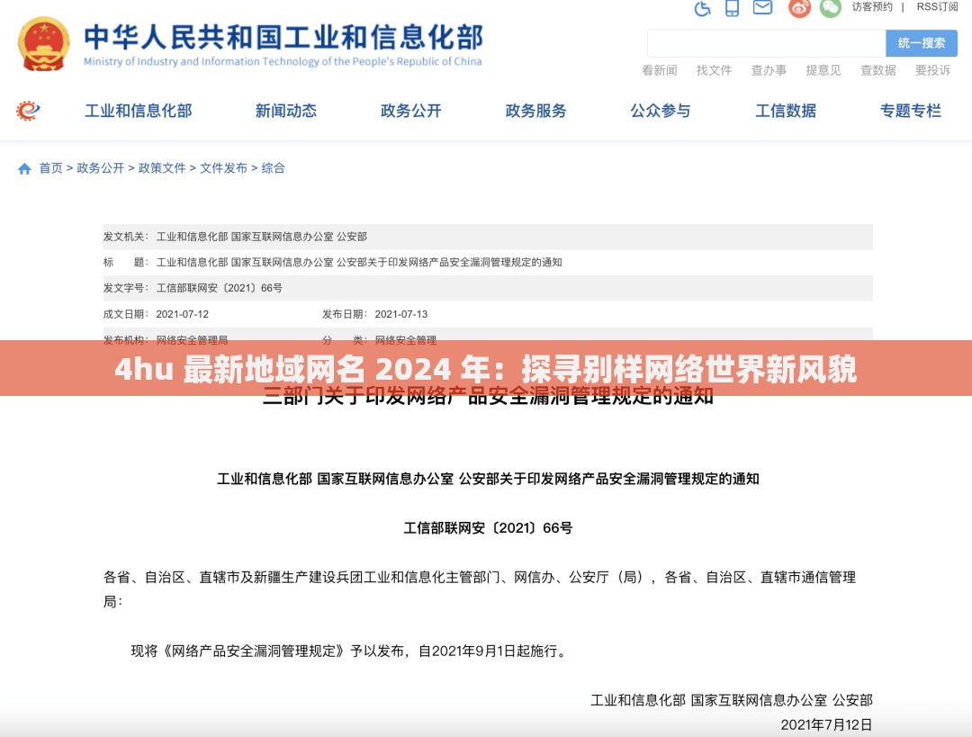 4hu 最新地域网名 2024 年：探寻别样网络世界新风貌
