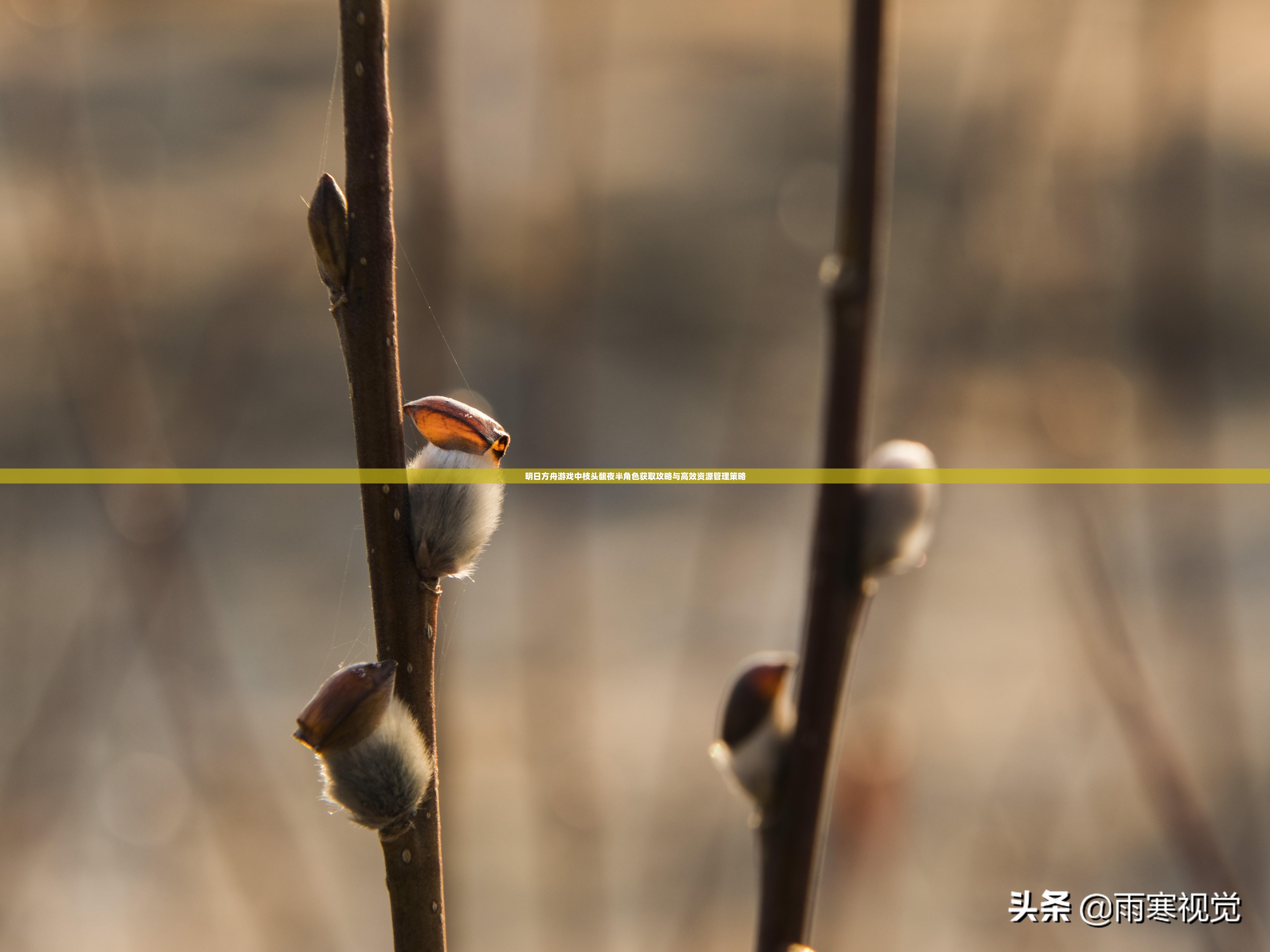明日方舟游戏中枝头馥夜半角色获取攻略与高效资源管理策略