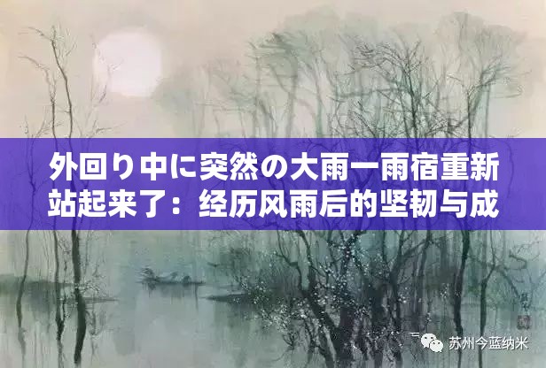 外回り中に突然の大雨一雨宿重新站起来了：经历风雨后的坚韧与成长
