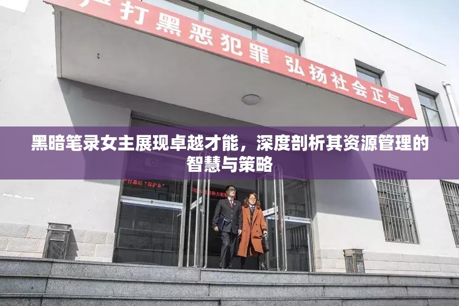 黑暗笔录女主展现卓越才能，深度剖析其资源管理的智慧与策略