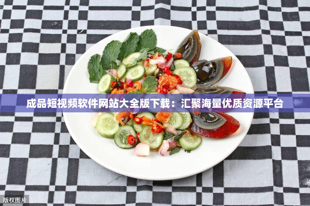 成品短视频软件网站大全版下载：汇聚海量优质资源平台