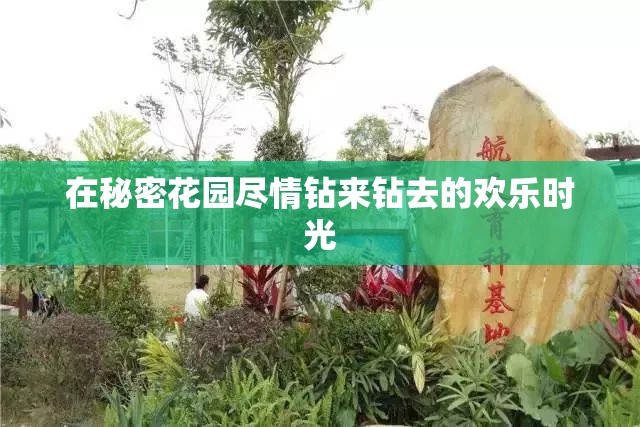 在秘密花园尽情钻来钻去的欢乐时光