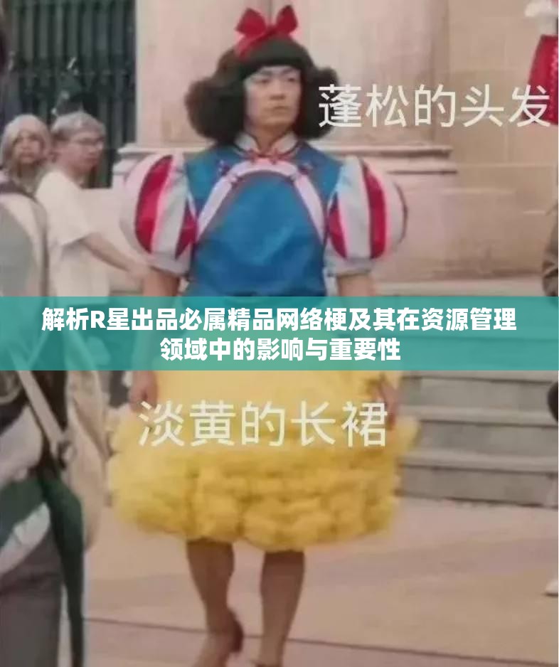 解析R星出品必属精品网络梗及其在资源管理领域中的影响与重要性