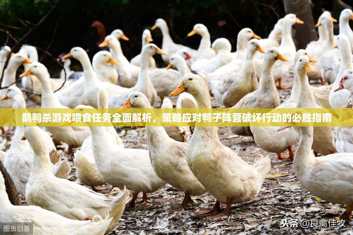 鹅鸭杀游戏喂食任务全面解析，策略应对鸭子阵营破坏行动的必胜指南