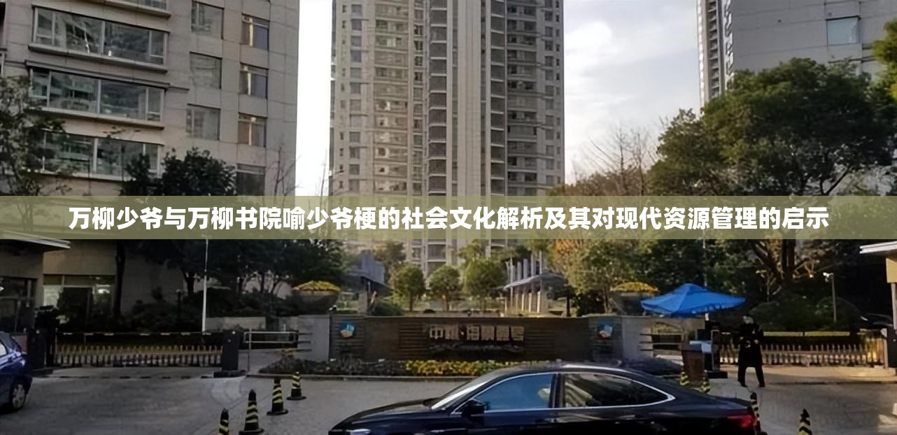 万柳少爷与万柳书院喻少爷梗的社会文化解析及其对现代资源管理的启示