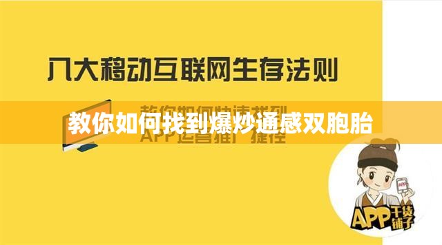 教你如何找到爆炒通感双胞胎