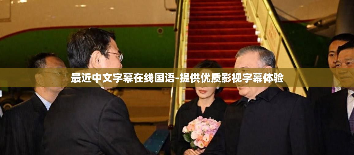 最近中文字幕在线国语-提供优质影视字幕体验