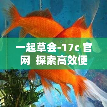 一起草会-17c 官网  探索高效便捷的起草服务平台