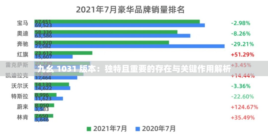 九幺 1031 版本：独特且重要的存在与关键作用解析