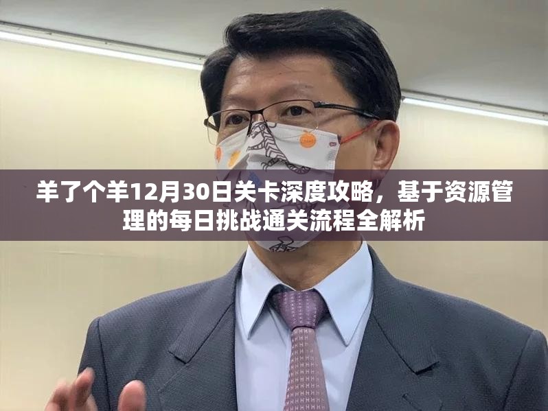 羊了个羊12月30日关卡深度攻略，基于资源管理的每日挑战通关流程全解析