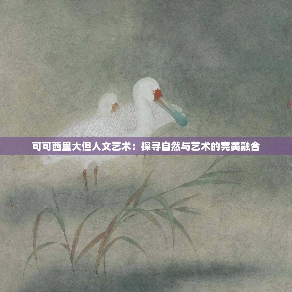 可可西里大但人文艺术：探寻自然与艺术的完美融合