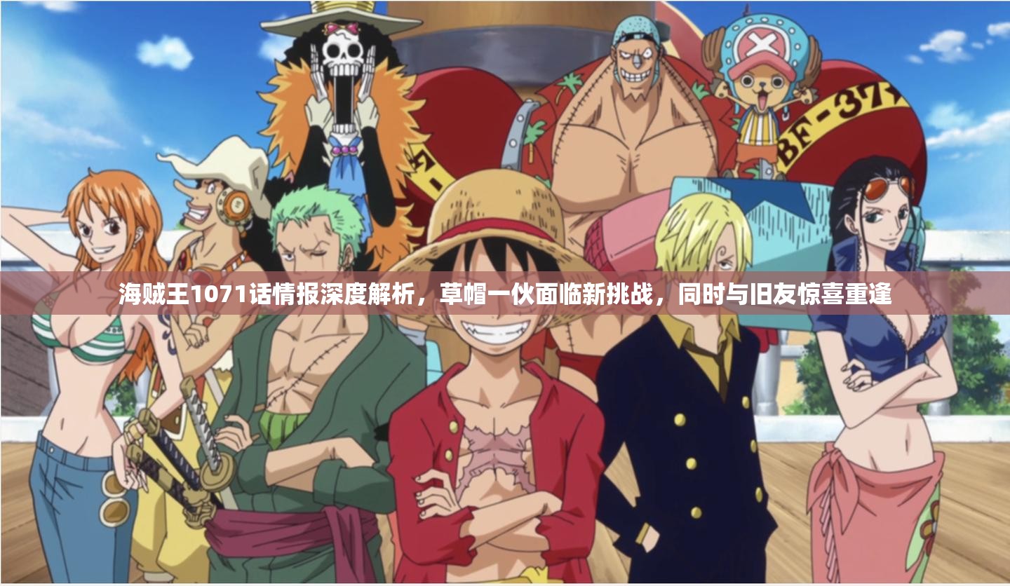 海贼王1071话情报深度解析，草帽一伙面临新挑战，同时与旧友惊喜重逢