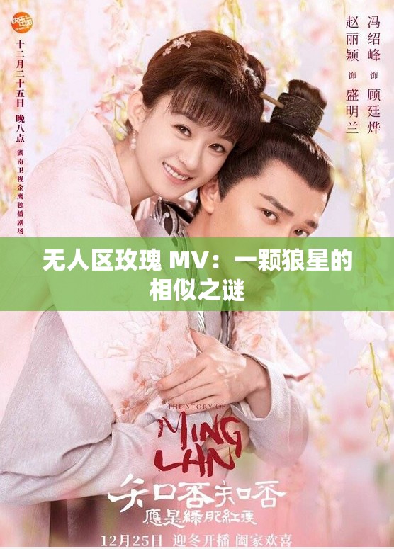 无人区玫瑰 MV：一颗狼星的相似之谜