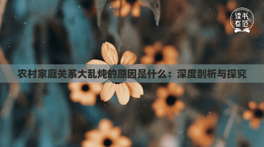农村家庭关系大乱炖的原因是什么：深度剖析与探究