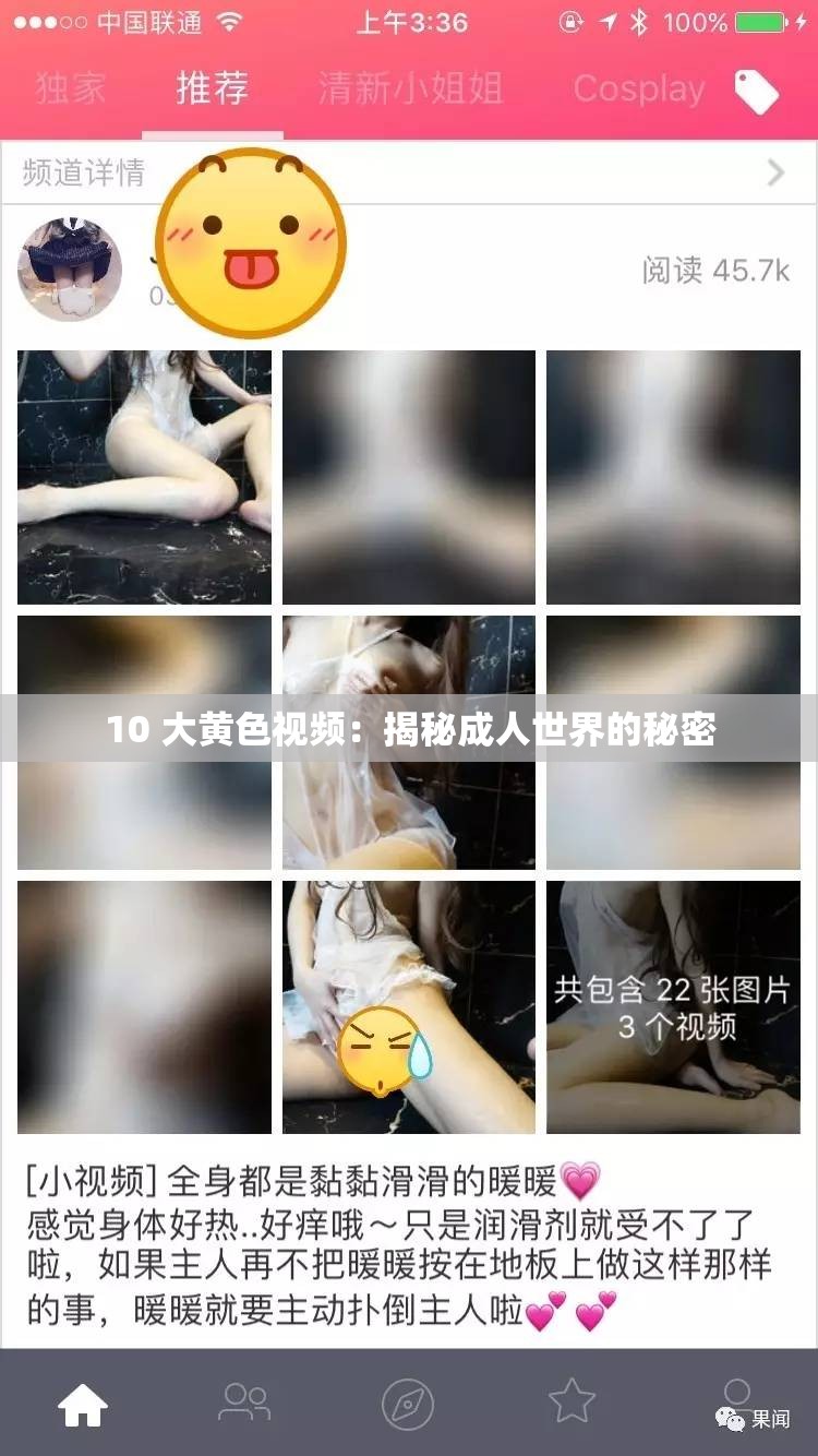 10 大黄色视频：揭秘成人世界的秘密