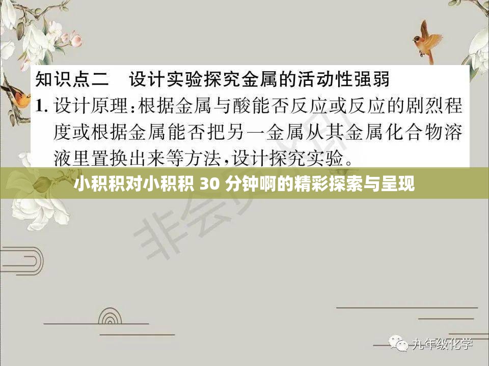 小积积对小积积 30 分钟啊的精彩探索与呈现