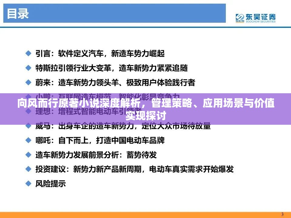 向风而行原著小说深度解析，管理策略、应用场景与价值实现探讨