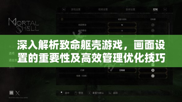 深入解析致命躯壳游戏，画面设置的重要性及高效管理优化技巧