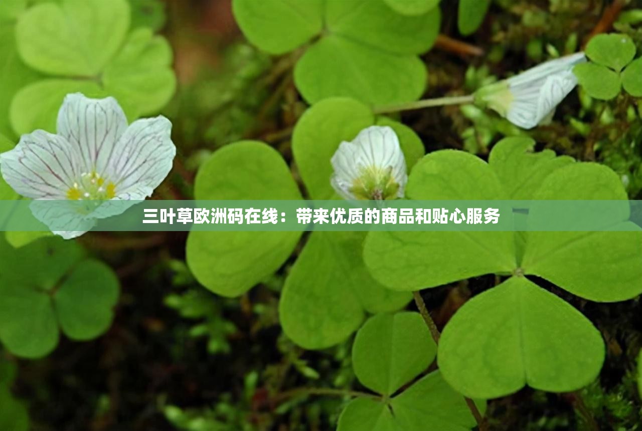 三叶草欧洲码在线：带来优质的商品和贴心服务
