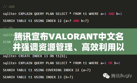 腾讯宣布VALORANT中文名并强调资源管理、高效利用以实现价值最大化