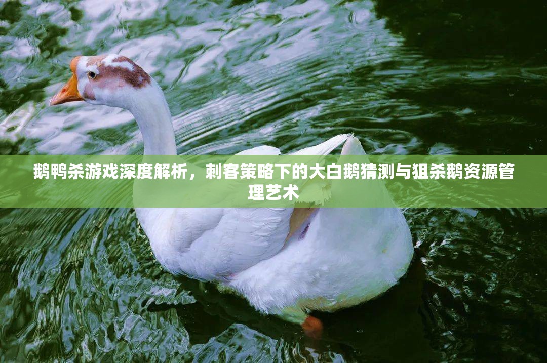 鹅鸭杀游戏深度解析，刺客策略下的大白鹅猜测与狙杀鹅资源管理艺术