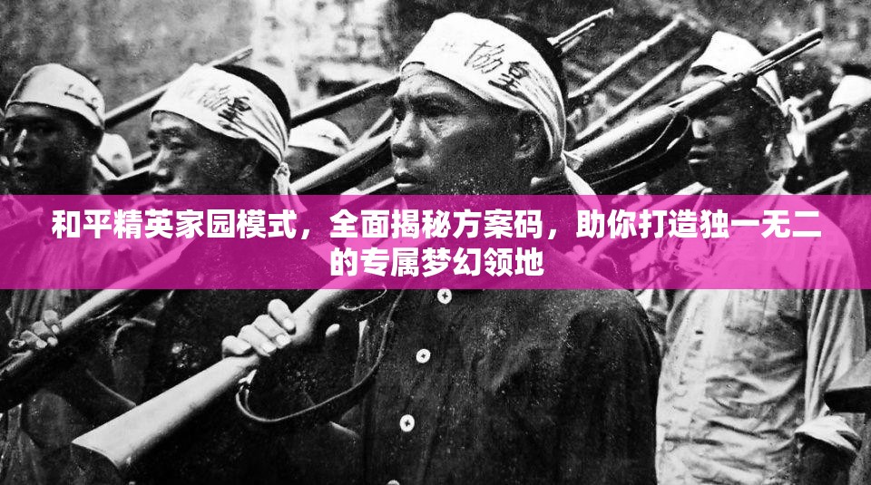 和平精英家园模式，全面揭秘方案码，助你打造独一无二的专属梦幻领地