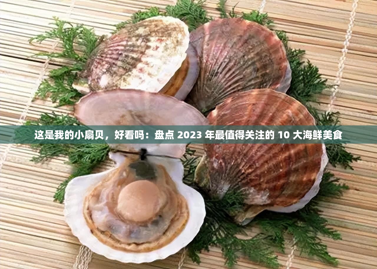 这是我的小扇贝，好看吗：盘点 2023 年最值得关注的 10 大海鲜美食