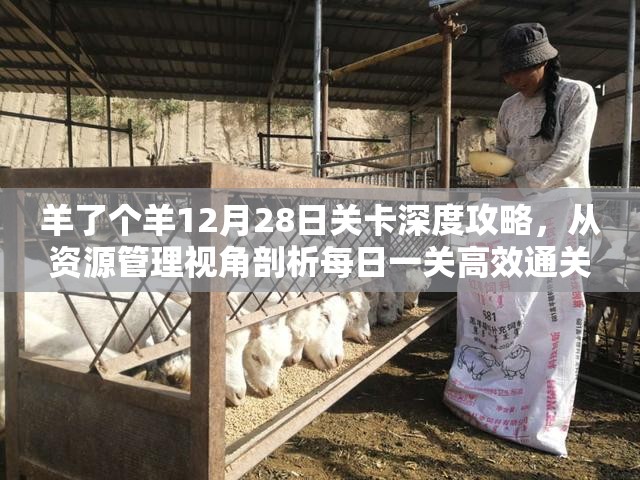 羊了个羊12月28日关卡深度攻略，从资源管理视角剖析每日一关高效通关流程