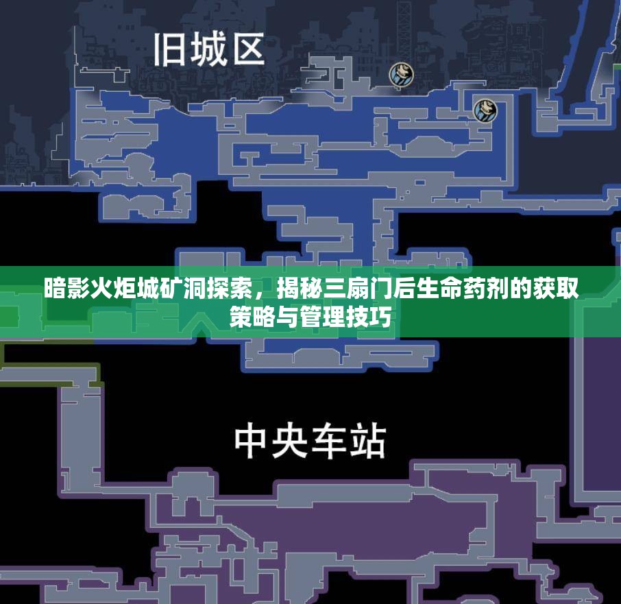 暗影火炬城矿洞探索，揭秘三扇门后生命药剂的获取策略与管理技巧