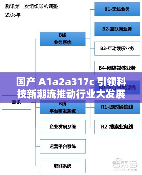 国产 A1a2a317c 引领科技新潮流推动行业大发展