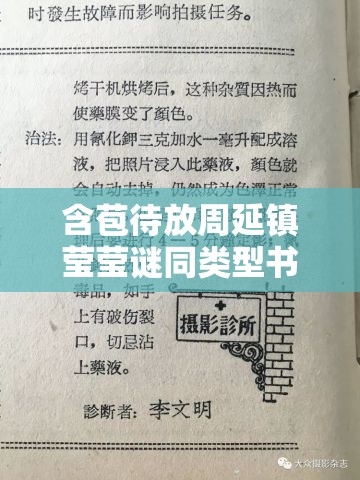 含苞待放周延镇莹莹谜同类型书的别样精彩解读与探索