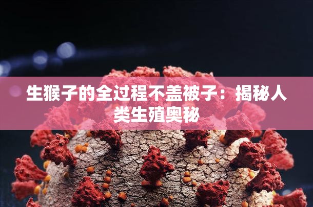 生猴子的全过程不盖被子：揭秘人类生殖奥秘
