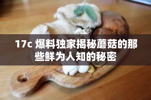 17c 爆料独家揭秘蘑菇的那些鲜为人知的秘密