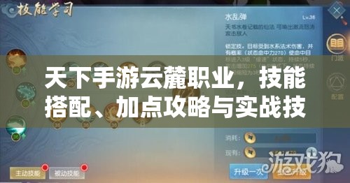 天下手游云麓职业，技能搭配、加点攻略与实战技巧的深度解析