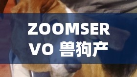 ZOOMSERVO 兽狗产品优势：品质卓越性能强劲用途广泛