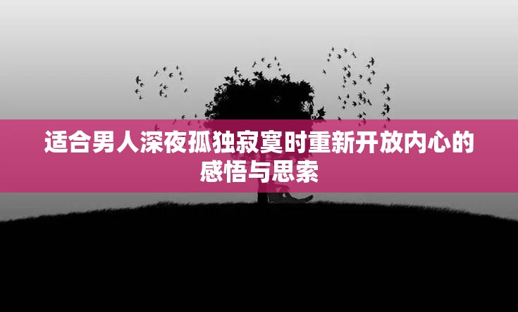 适合男人深夜孤独寂寞时重新开放内心的感悟与思索