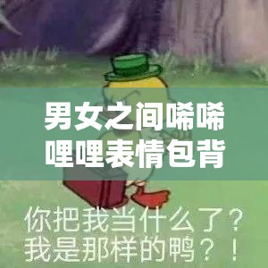 男女之间唏唏哩哩表情包背后的奇妙情感故事