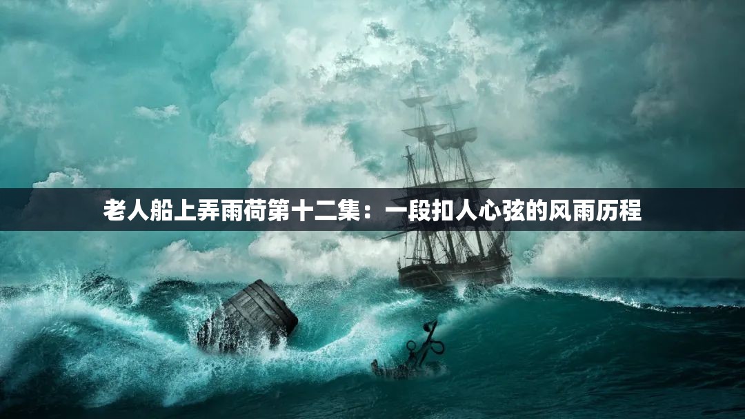 老人船上弄雨荷第十二集：一段扣人心弦的风雨历程