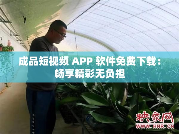 成品短视频 APP 软件免费下载：畅享精彩无负担