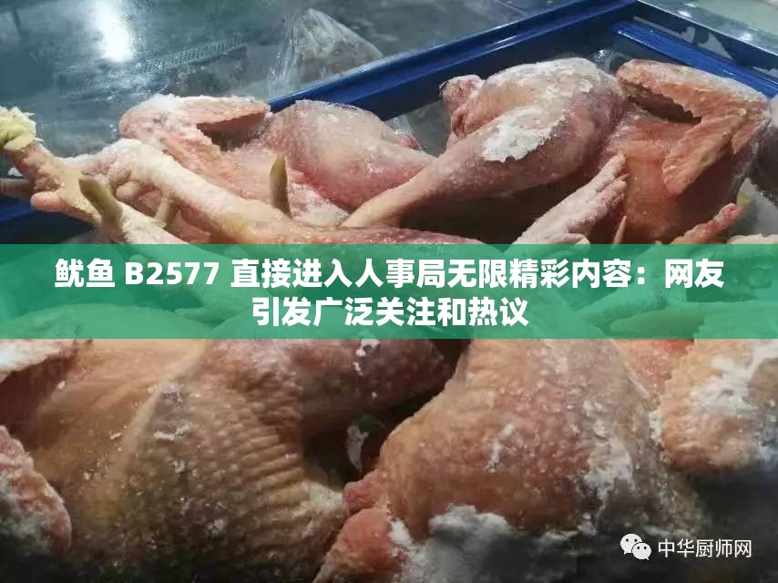 鱿鱼 B2577 直接进入人事局无限精彩内容：网友引发广泛关注和热议