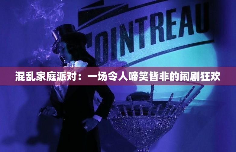 混乱家庭派对：一场令人啼笑皆非的闹剧狂欢