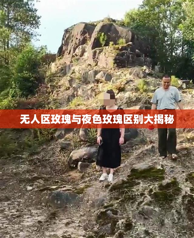 无人区玫瑰与夜色玫瑰区别大揭秘